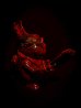 画像4: S.S.S×KD/bloody noco-pyon